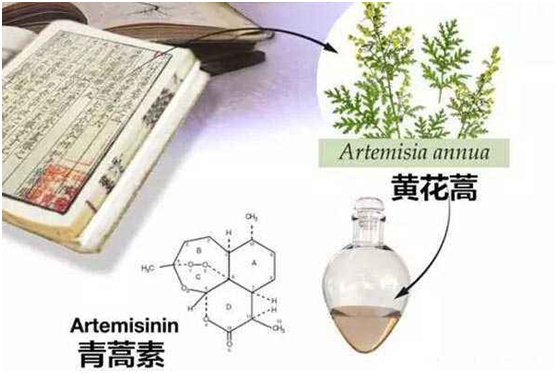 OD在线,OD在线（中国）：向中医药看齐，与世界共享中医药文化(图1)